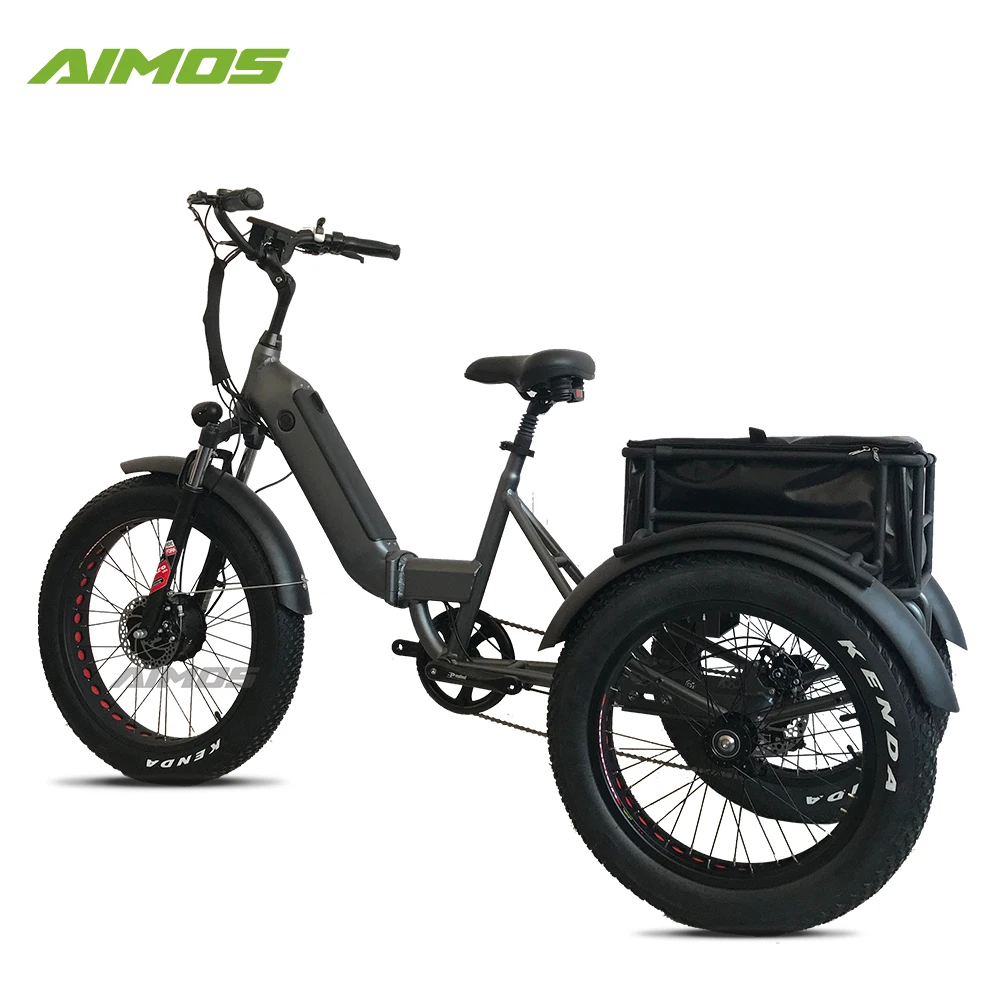 3 wheel electric bike for hunting