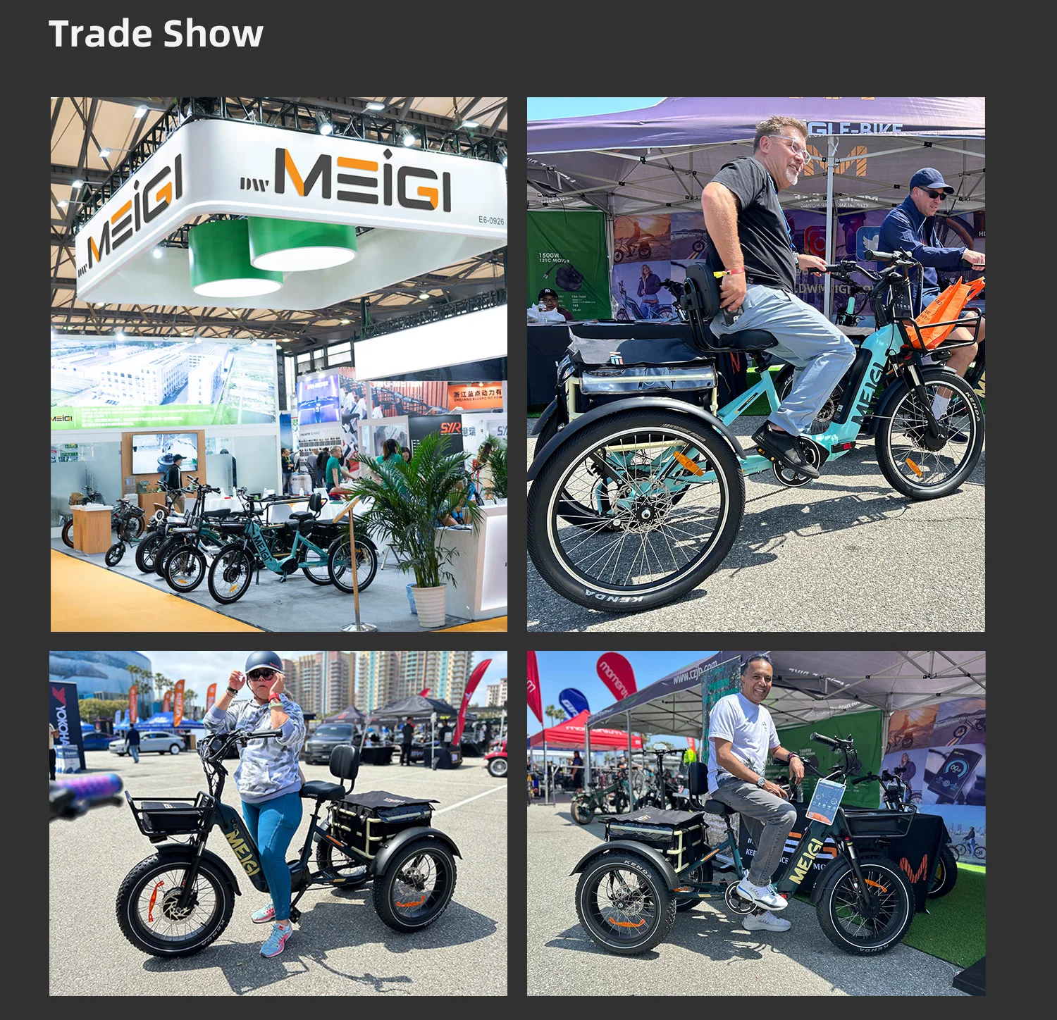 Off Road 3 Wheel Etrike Motorcycle 3 Wheel Electric Bikes For Adult