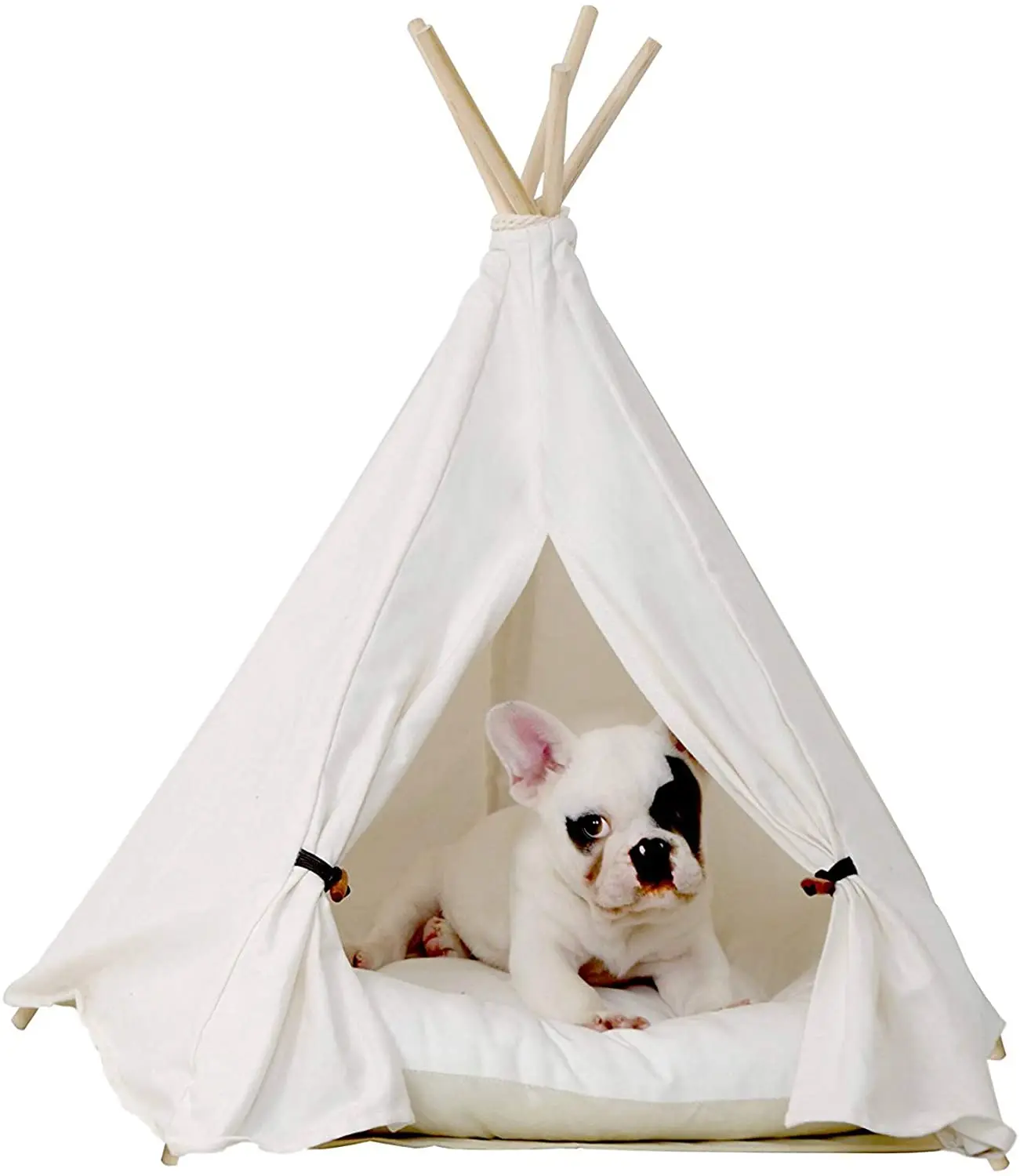 critter ware cage