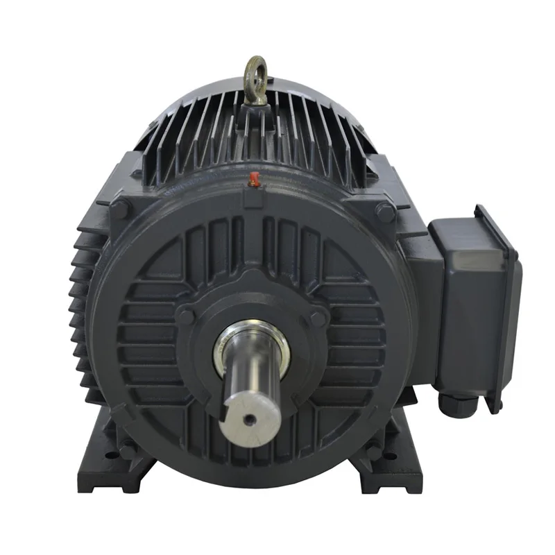 Phase Induction Asynchronous Motor, Rare earth - detail 4