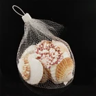 Orange Wholesale Price DIY Gifts Orange Scallops Scallop Shells For Sale