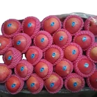 Apple Apple Qinguan Royal Gala Apple Fuji Apple Cheap Price For Sale