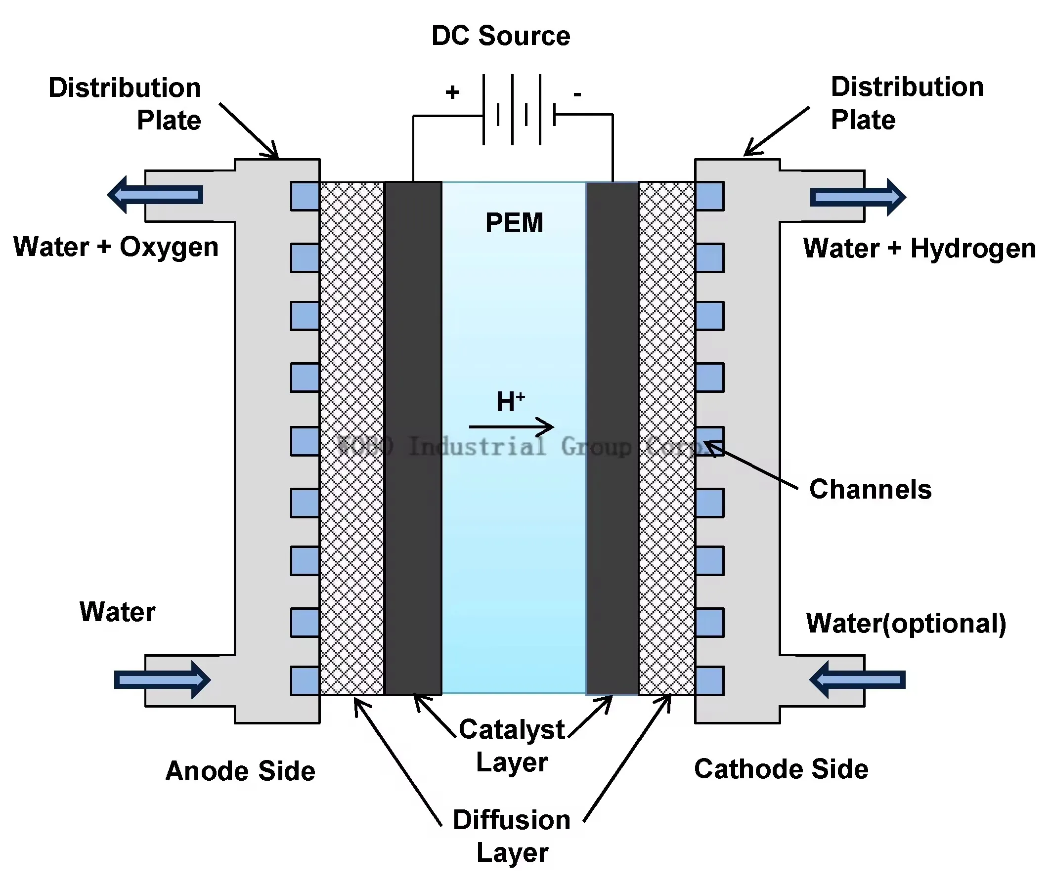 Long Service Life Hydrogen System Efficient 900ml Alkaline Water