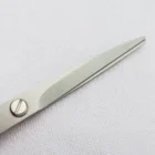 Hair Cutting Scissors Of Plastic Handle And Titanium Coated Stainless Steel Blade For Tijeras Pet Grooming Yangjiang
