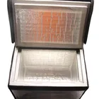 Cold Chain Transportation Box Customize Cold Chain Transport Box For Ice Cream Frozen