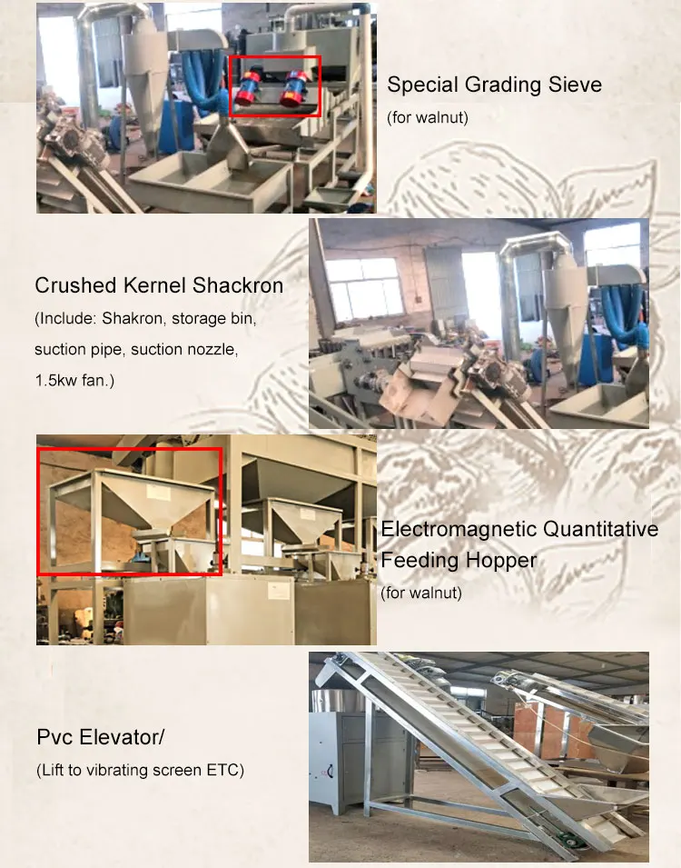 Cashew/Macadamia Nut Shelling Color Sorter Processing Machine Macadamia Nut Cracker supplier