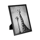 Black White Family BOICHEN New Design Black White Giraffe Wood Picture Frames For Family Home Decoration