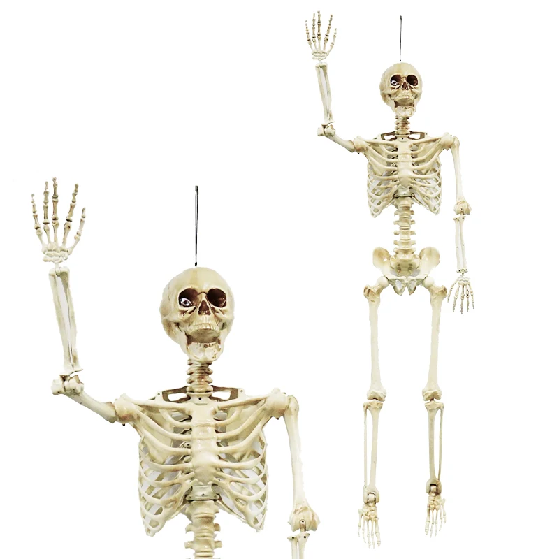 5.4ft Realistic Full Body Size Halloween Decorations  Haunted House Human Halloween Skeleton with Movable Joints
