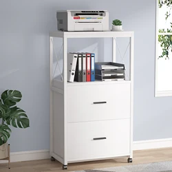 2-Drawer File Cabinet  Mobile Vertical Filling Cabinets Fits Legal Size Large Printer Stand on Wheels for Home Office