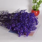 Natural Day Wholesale Pure Natural Dried Flowers Baby Breath Stars For Mother's Day Valentine's Day Birthday Gift