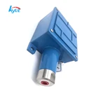 Air Pressure Factory Direct Sales Stable Stainless Steel Air Pressure Switch For Petroleum/Chemical Industry