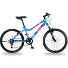 Specialize Chinese Specialize Oem Enterprising Best 20 Hardtail Fiber Mountain Bike Carbon