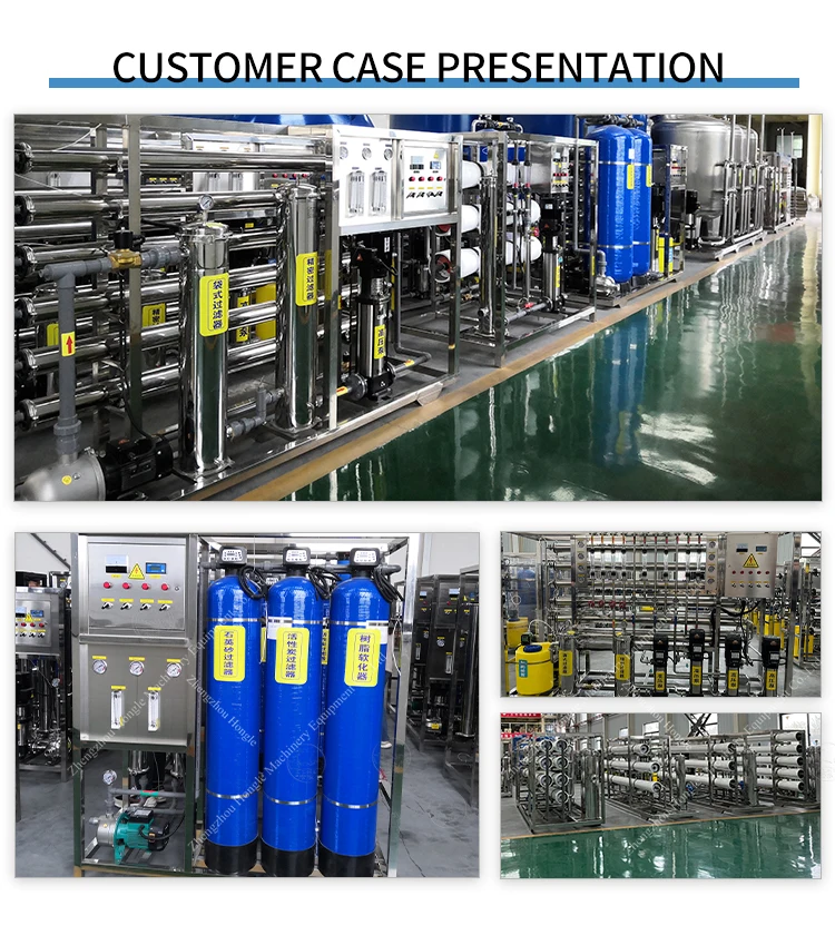 500L Pure Water Purification Treatment Machinery Plants EDI Water Purifier Treatment System Equipment factory