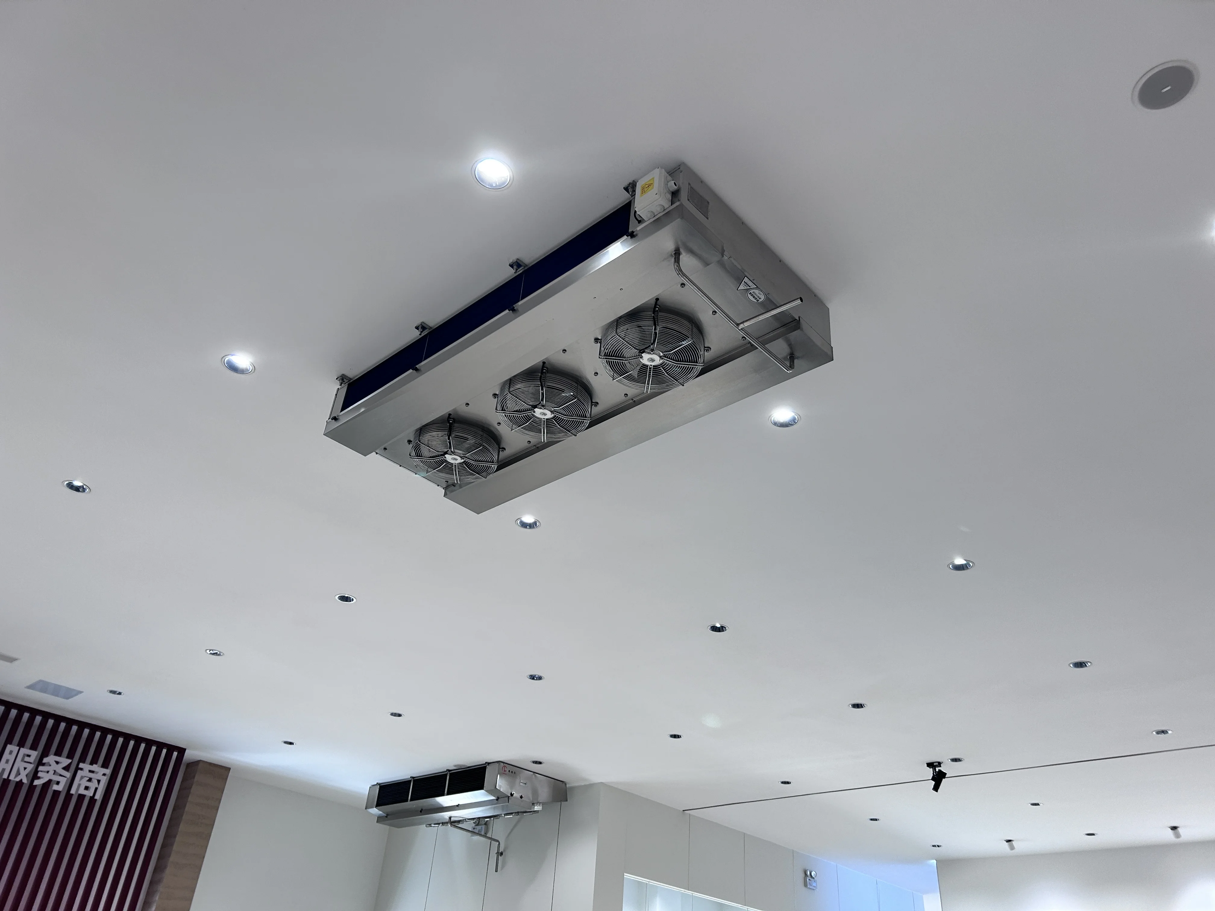 Cold Storage Air Cooler, 220 V - detail 30