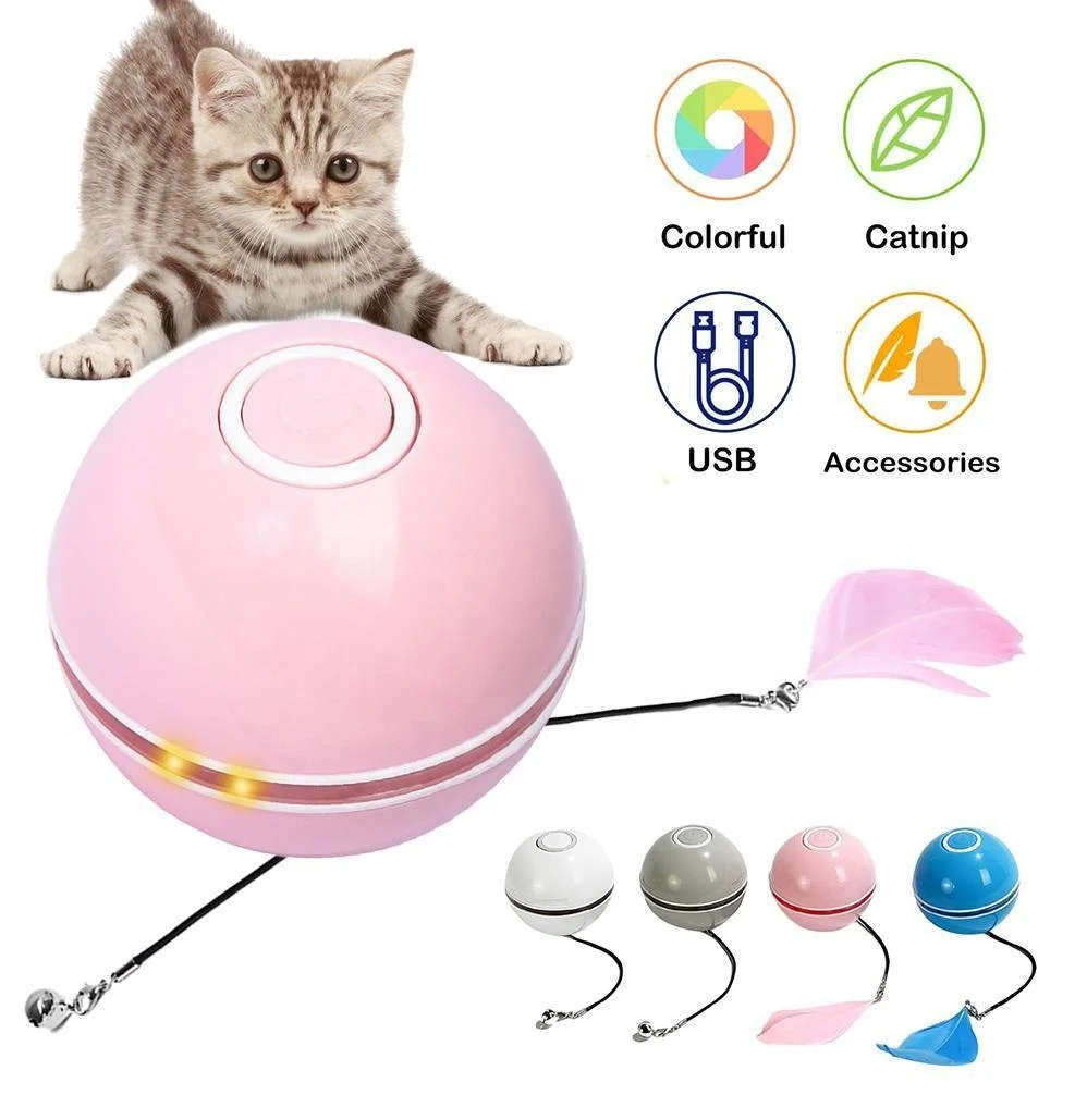 cat roller toy