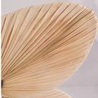 Fan 2021 New Arrival 52 Inch Palm-leaf Ventilation Decorative Ceiling Fan With Remote Control