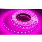 Led Light Led Led Rgb Light Strips Waterproof IP65 SMD5050 RGBW/WW/RGB/ws2813 LED Light Strip Cct With Remote Control