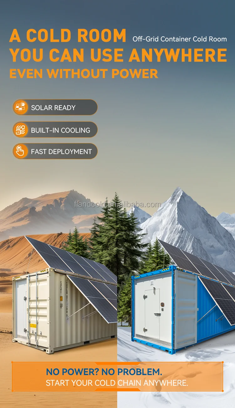 Freezer, 20FT, 40HQ, Solar - detail 4