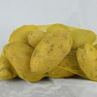 Potato Potatoes Potatopotato New Season Fresh Potato New Crop Fresh Potato Big Size Fresh Potatoes