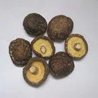 Mushroom Cultivated Lentinus Edodes Magic Dried Shiitake Mushroom