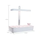 Plant US FREE SHIPPING LED Indoor Garden Indoor Gardening Kit Hydroponics Smart Herb Garden Plant Lighting