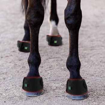 40W Equine Ankle Saver Hoof Wear Light Therapy Pad With built in Battery Wrap on Horse Brll Boits