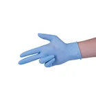 Gloves Wholesale Food Touch Pure Nitrile Disposable Gloves Powder Free With CE
