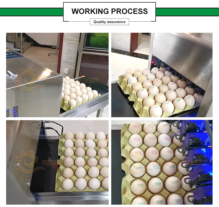 High quality egg inkjet printer/egg tray printing machine/egg code printing machine for sale