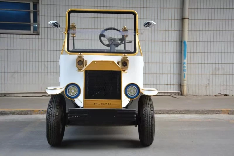New Style 2 Seater Electric Golf Buggy Kids Golf Cart