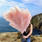 Decoration Wedding AP-03 Home Decoration Cream Pink Color Faux Artificial Pampas Grass Wedding