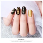 Professional AS UV Gel Nail Art Kit With Private Logo For Starter With LED Lamp Remover OEM Service