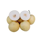 Pear Fresh Fresh White Pear Golden Pear Ya Pear