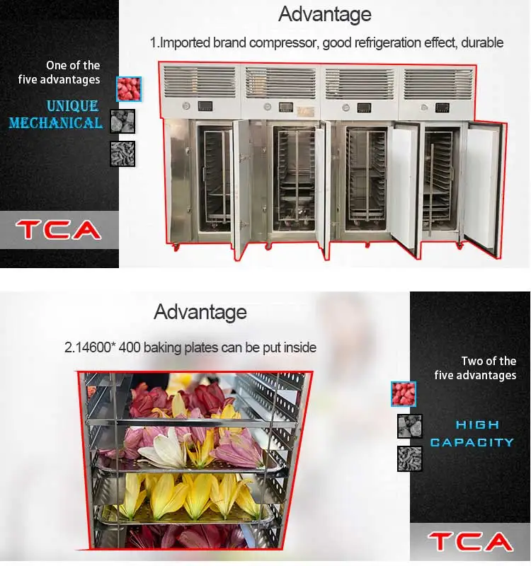 Belt Iqf Tunnel Freezer, AICN, high efficiency - detail 4