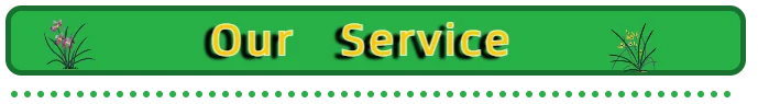 Service.png