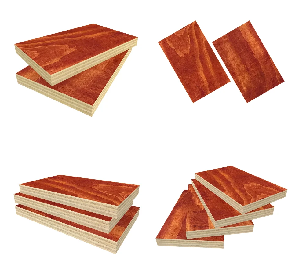 High Quality Waterproof Birch Plywood Pine Poplar Eucalyptus Plywood