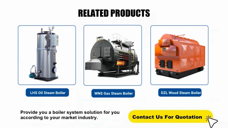Steam Generator, LSG, 220v, Stainless Steel - detail 18