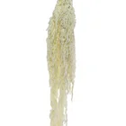 Wedding Decoration Factory Supply Wholesale Bleached And Preserved Amaranthus For Wedding Decoration