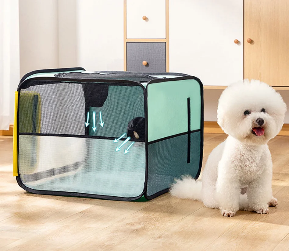 Can Dry Cleaners Remove Dog Hair