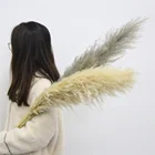 Wedding Home Wedding Backdrop Decorative Soft Natural Fluffy Pampas Grass Seed