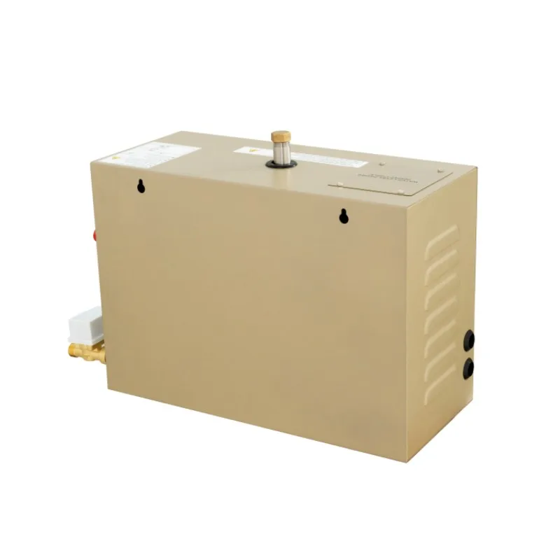 At-30 Steam Bath Generator, ONE, 10 - detail 6