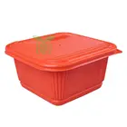 Plastic Fresh Box BTO Disposable Plastic Food Packaging Container Take Away Fresh Fruit Clamshell Packing Box
