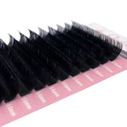 Eyelash Extension Lash Mink Eyelash Extension Supplies Qeelasee All Size Individual Eyelash Extension Mink Lash Supplies