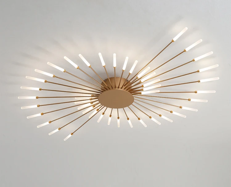 ceiling light (12).jpg