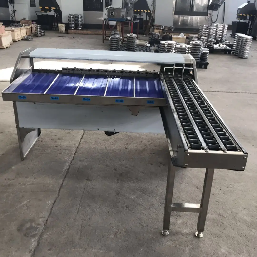 High Speed Improve Efficiency Mini Egg Sorting Machine Egg Grading Sorter Washer Grader Clasificadora De Huevos supplier