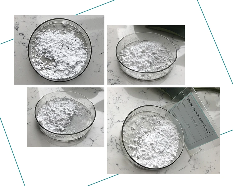 Factory Supply Best Quality Food Additive Sucralose Powder