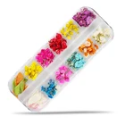 Nail Art Mixed Styles Colorful Nail Art Decoration Dry Flowers Real Natural Pressed Dried Flowers For Nail Art