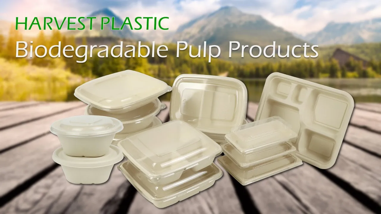 Square Plastic Disposable 6 Inch Food Packaging Container For take out