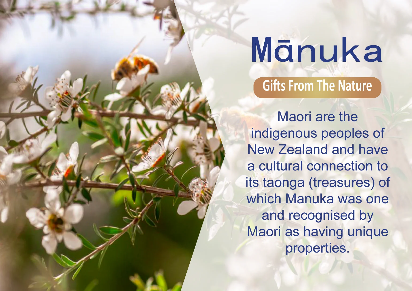 For Sale New Zealand Manuka Honey 250g UMF5+ 100% Natural Bee Honey MGO100+ Pure Raw Honey 6
