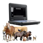CONTEC CMS600P2 VET Digital Notebook Ultrasound Scanner For Veterinary