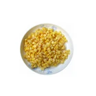 Yellow Corn Corn Corn Canned High Quality Canned Yellow Sweet Corn In New Maize Season From China